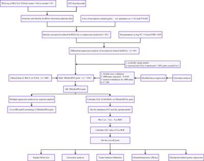 A Necroptosis-Related lncRNA to Develop a Signature to Predict the Outcome, Immune Landscape, and Chemotherapeutic Responses in Bladder Urothelial Carcinoma